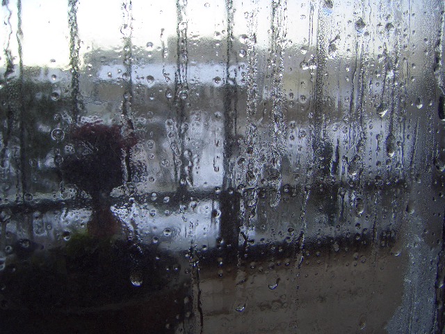 GARASS.JPG - 177,304BYTES